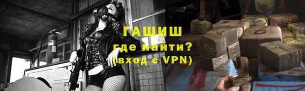 шишки Саяногорск