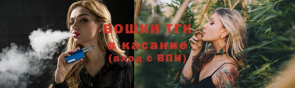 ECSTASY Белокуриха