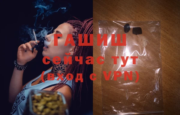 ECSTASY Белокуриха