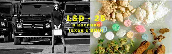 ECSTASY Белокуриха