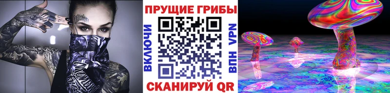 Галлюциногенные грибы Cubensis  ОМГ ОМГ как войти  Кумертау  магазин  наркотиков 